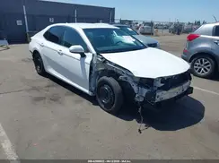 4T1B31HK4KU513030 2019 TOYOTA CAMRY