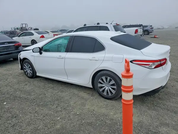 4T1B31HK4KU513044 2019 TOYOTA CAMRY - Image 2