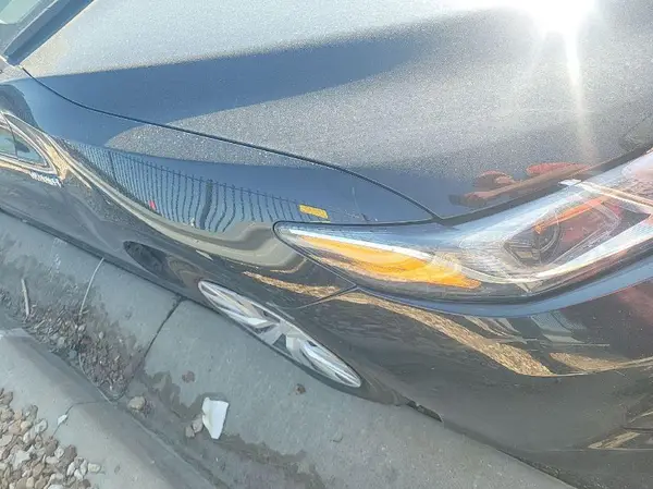 4T1B31HK4KU513156 2019 TOYOTA CAMRY - Image 1