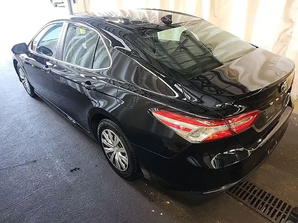4T1B31HK4KU513156 2019 TOYOTA CAMRY - Image 8