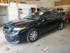 4T1B31HK4KU513173 2019 TOYOTA CAMRY