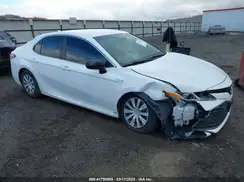 4T1B31HK4KU513240 2019 TOYOTA CAMRY