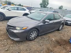 4T1B31HK4KU516039 2019 TOYOTA CAMRY