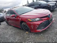 4T1B31HK4KU516638 2019 TOYOTA CAMRY