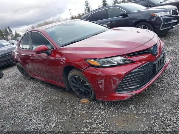 4T1B31HK4KU516638 2019 TOYOTA CAMRY - Image 1