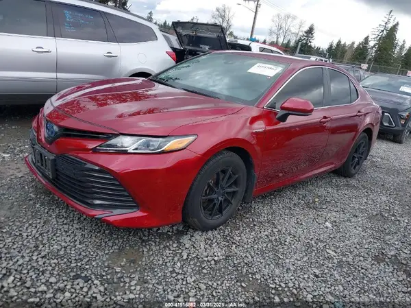 4T1B31HK4KU516638 2019 TOYOTA CAMRY - Image 2