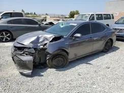 4T1B31HK4KU516896 2019 TOYOTA CAMRY