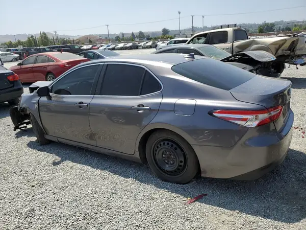 4T1B31HK4KU516896 2019 TOYOTA CAMRY - Image 2