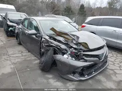 4T1B31HK4KU517790 2019 TOYOTA CAMRY