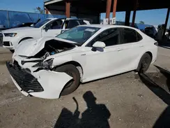 4T1B31HK5KU005679 2019 TOYOTA CAMRY