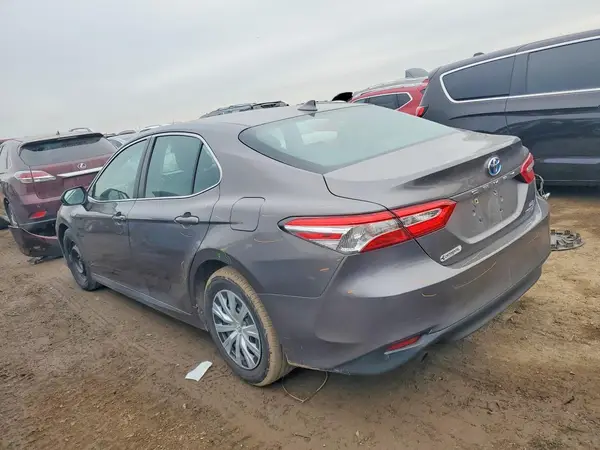 4T1B31HK5KU006279 2019 TOYOTA CAMRY - Image 2
