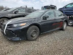 4T1B31HK5KU006461 2019 TOYOTA CAMRY