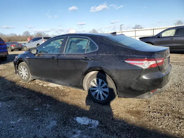 4T1B31HK5KU006461 2019 TOYOTA CAMRY - Image 2