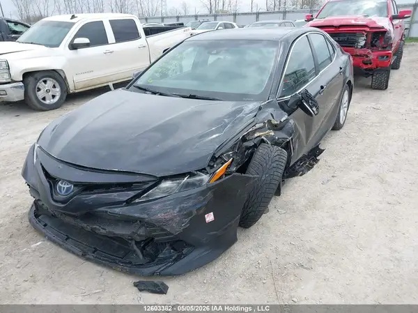 4T1B31HK5KU006766 2019 TOYOTA CAMRY - Image 2
