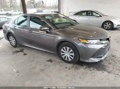 4T1B31HK5KU006962 2019 TOYOTA CAMRY