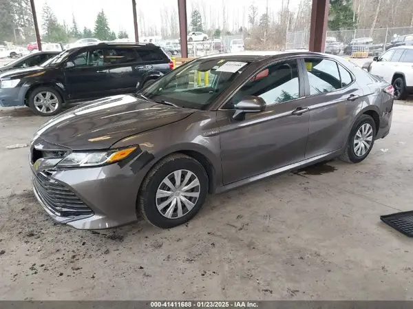 4T1B31HK5KU006962 2019 TOYOTA CAMRY - Image 2