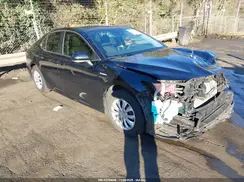 4T1B31HK5KU509925 2019 TOYOTA CAMRY
