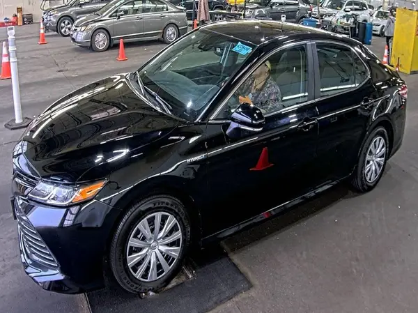 4T1B31HK5KU510153 2019 TOYOTA CAMRY - Image 8
