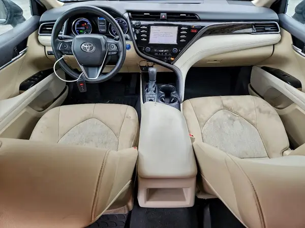 4T1B31HK5KU510265 2019 TOYOTA CAMRY - Image 8