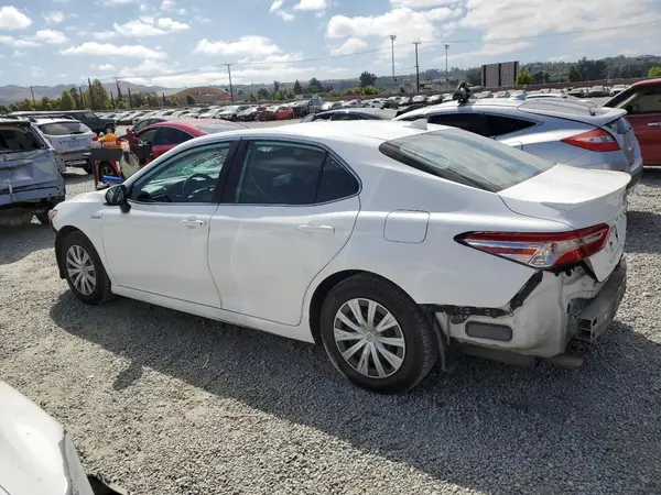 4T1B31HK5KU511593 2019 TOYOTA CAMRY - Image 2