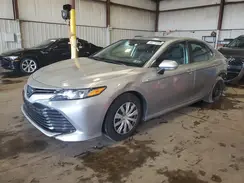 4T1B31HK5KU512808 2019 TOYOTA CAMRY