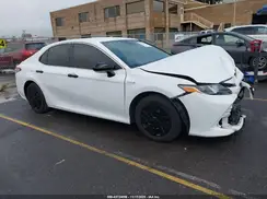 4T1B31HK5KU512856 2019 TOYOTA CAMRY