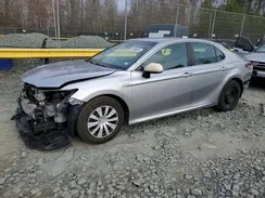 4T1B31HK5KU513439 2019 TOYOTA CAMRY