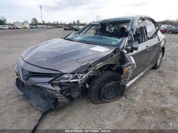 4T1B31HK5KU513571 2019 TOYOTA CAMRY - Image 2