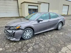 4T1B31HK5KU515367 2019 TOYOTA CAMRY