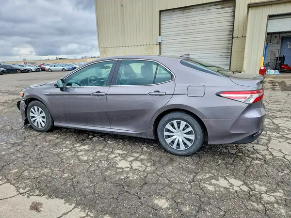 4T1B31HK5KU515367 2019 TOYOTA CAMRY - Image 2