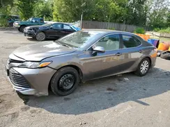 4T1B31HK5KU515398 2019 TOYOTA CAMRY