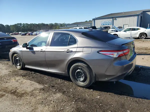4T1B31HK5KU515773 2019 TOYOTA CAMRY - Image 2