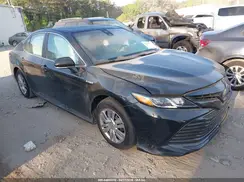 4T1B31HK5KU516082 2019 TOYOTA CAMRY