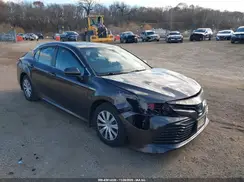 4T1B31HK5KU516244 2019 TOYOTA CAMRY