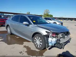 4T1B31HK5KU517314 2019 TOYOTA CAMRY