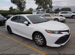 4T1B31HK5KU517619 2019 TOYOTA CAMRY
