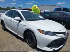 4T1B31HK5KU517913 2019 TOYOTA CAMRY