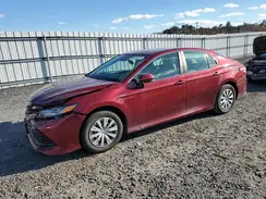 4T1B31HK6JU503498 2018 TOYOTA CAMRY