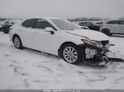 4T1B31HK6JU507955 2018 TOYOTA CAMRY