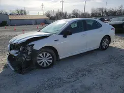4T1B31HK6KU006033 2019 TOYOTA CAMRY