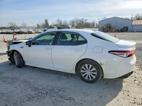 4T1B31HK6KU006033 2019 TOYOTA CAMRY - Image 2