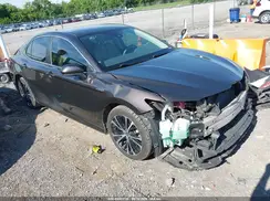 4T1B31HK6KU006226 2019 TOYOTA CAMRY
