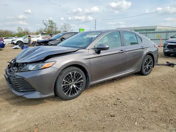 4T1B31HK6KU006307 2019 TOYOTA CAMRY - Image 1