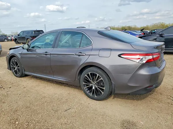 4T1B31HK6KU006307 2019 TOYOTA CAMRY - Image 2