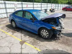 4T1B31HK6KU006419 2019 TOYOTA CAMRY