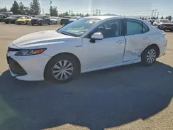 4T1B31HK6KU006551 2019 TOYOTA CAMRY