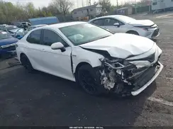 4T1B31HK6KU008378 2019 TOYOTA CAMRY