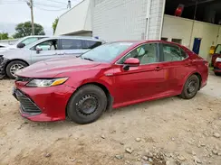 4T1B31HK6KU509321 2019 TOYOTA CAMRY