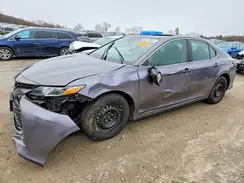 4T1B31HK6KU510209 2019 TOYOTA CAMRY