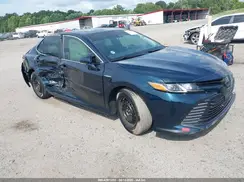 4T1B31HK6KU510341 2019 TOYOTA CAMRY